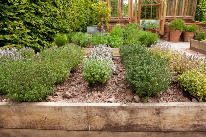 How to Create a Herb Garden | BBC Gardeners World Magazi