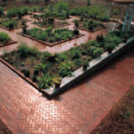 Herbs in Southern Gardens | UGA Cooperative Extensi