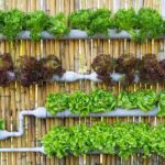 25 Incredible Vegetable Garden Ideas | Trees.c