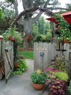 330 Kerala ideas | outdoor gardens, garden design, kera