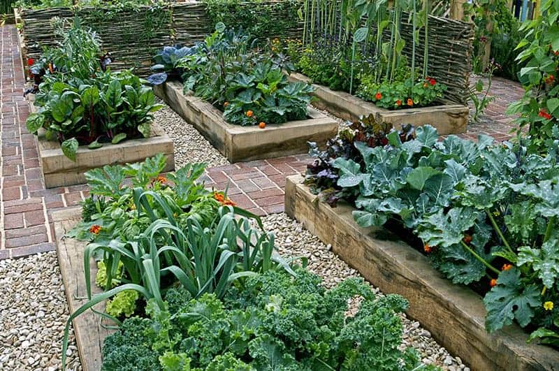 25 Incredible Vegetable Garden Ideas | Trees.c