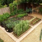 23 Home vegetable garden ideas in Sri Lanka | vegetable garden .