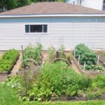 Choosing a smart site for your vegetable garden - Gardening in .