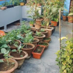 Easy Home Gardening - YouTu