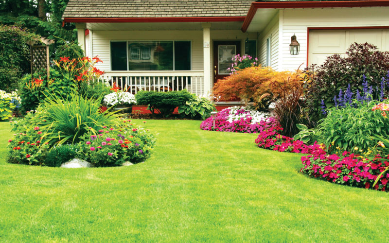 18 Landscaping Rules For Building Your Perfect Ya