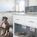 Pet-Friendly Home Renovation Ideas - Gryphon Builde