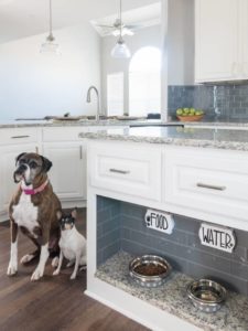 Pet-Friendly Home Renovation Ideas - Gryphon Builde