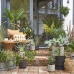 10 ideas for small gardens on a budget - how to maximise style for .