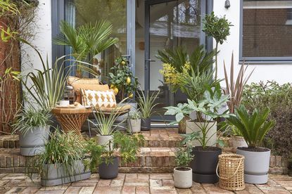 10 ideas for small gardens on a budget - how to maximise style for .