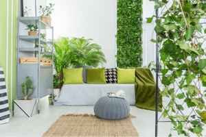 Indoor Garden Design Ideas for your Living Spa