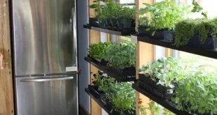 56 Indoor Garden in Kitchen Ideas | Herb garden in kitchen, Home .