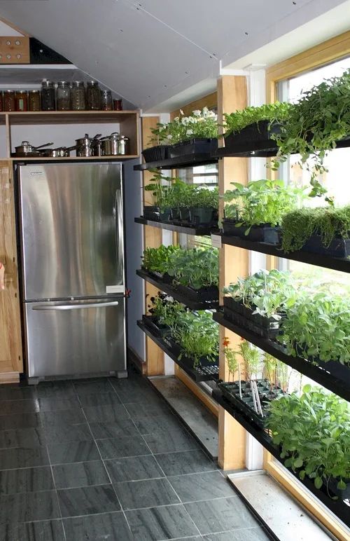 Creative Indoor Garden Ideas for Small Spaces