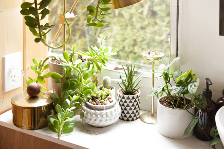 Indoor Garden Ideas - DIY Plant Holders | Apartment Thera