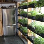 56 Indoor Garden in Kitchen Ideas | Herb garden in kitchen, Home .