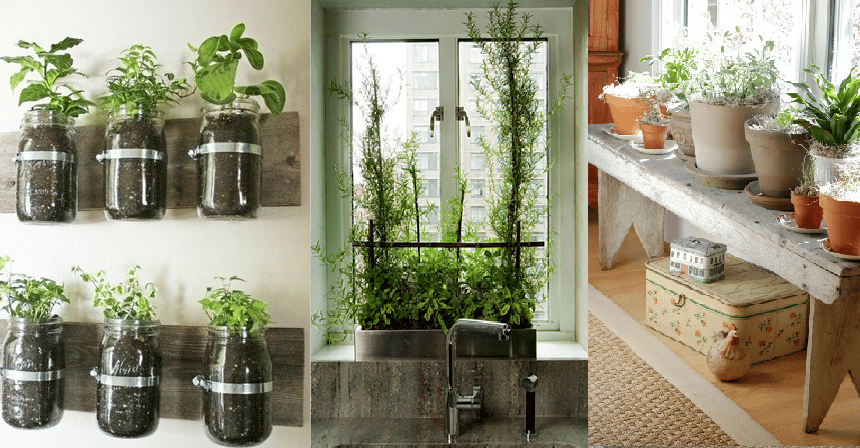 6 Ideas For the Perfect Indoor Garden - Urban Cultivat