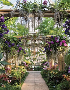 Escape winter in Illinois' indoor gardens | Illinois Tim