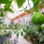 4 Indoor Gardens to Escape the New England Winter - New Engla