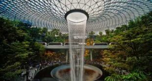 10 of the best Tropical Indoor Gardens in the World - YouTu