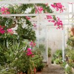 Best 5 Indoor Garden Escapes - New Engla