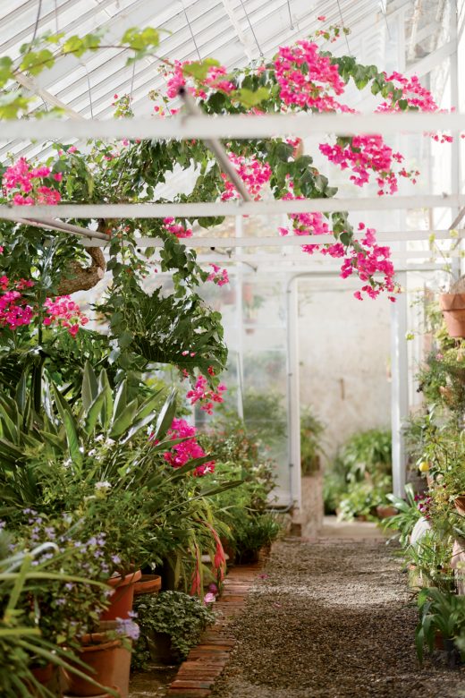 Best 5 Indoor Garden Escapes - New Engla