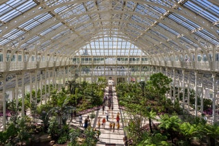 Best indoor gardens in London | Tatl