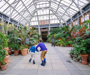 Indoor Gardens Where Boston Kids and Families Can Escape Winter .