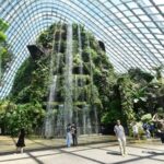 9 Mesmerizing Indoor Parks Around the World | Architectural Dige