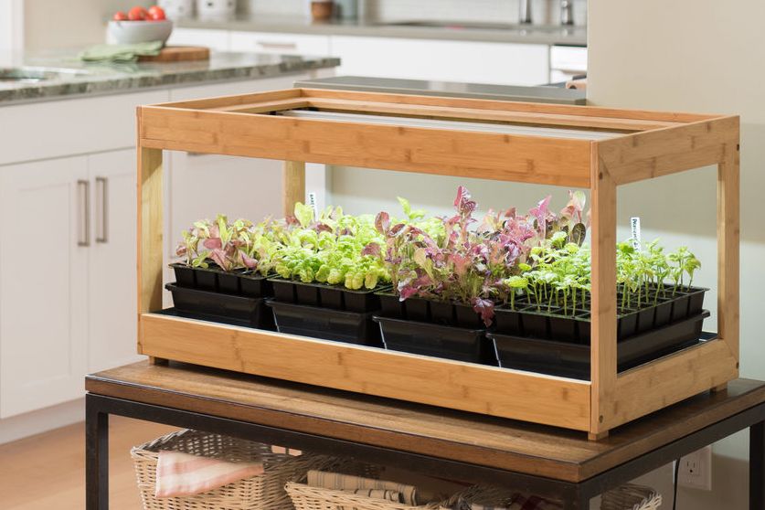 The Ultimate Guide to Creating an Indoor Herb Garden