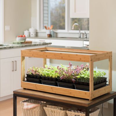 How to Grow an Indoor Herb Garden 2019 | The Strategi