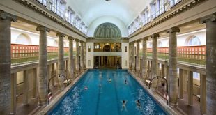 The hidden beauty of Berlin's indoor poo