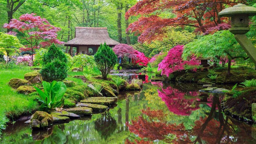 Inspirational Japanese Zen Garden Ideas – Forbes Ho