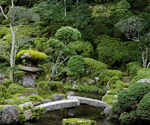 A Guide to Japanese Garden Style – KonMari | The Official Website .