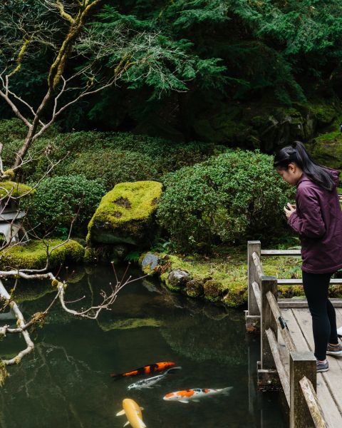 Portland Japanese Garden | The Official Guide to Portla