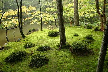 Japanese garden - Wikiped