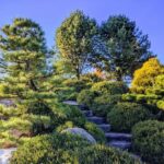 Japanese Garden Landscape Designers In South Central