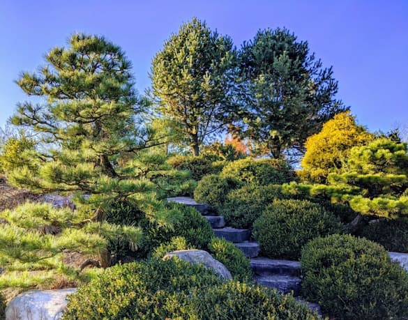 Japanese Garden Landscape Designers In South Central