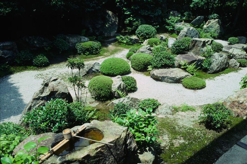 Elements of Japanese garden desi