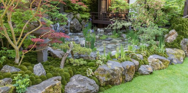 Japanese Garden Ideas - Creating A Japanese Gard