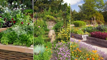 Planning a kitchen garden: from layouts to the best crops | Homes .