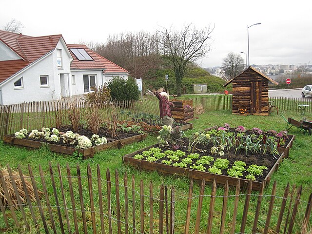 Kitchen garden - Wikiped