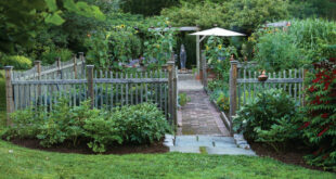 How to Create a Relaxed Kitchen Garden Retreat - FineGardeni