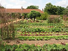 Kitchen garden - Wikiped