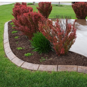 Concrete Curbing Colors- Landscape Edging in Nam