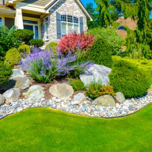 5 Landscape Edging Ideas | Kingsport