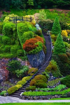 850 Best Beautiful Gardens ideas | beautiful gardens, garden .