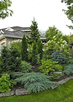 87 Privacy via Landscaping ideas | garden design, landscape design .