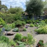 Drought Tolerant Landscaping Ideas | Garden Desi