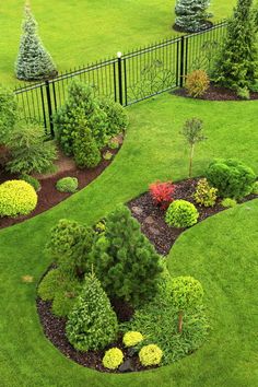 72 Best evergreen landscape ideas | evergreen landscape, conifers .