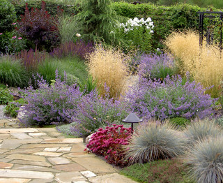 75 Landscaping Ideas You'll Love - April, 2024 | Hou