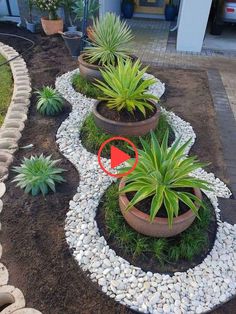 900+ Tiny Landscape Spaces ideas in 2024 | outdoor gardens, garden .